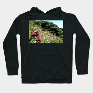 Rizières en terrasses Banaue, Philippines Hoodie